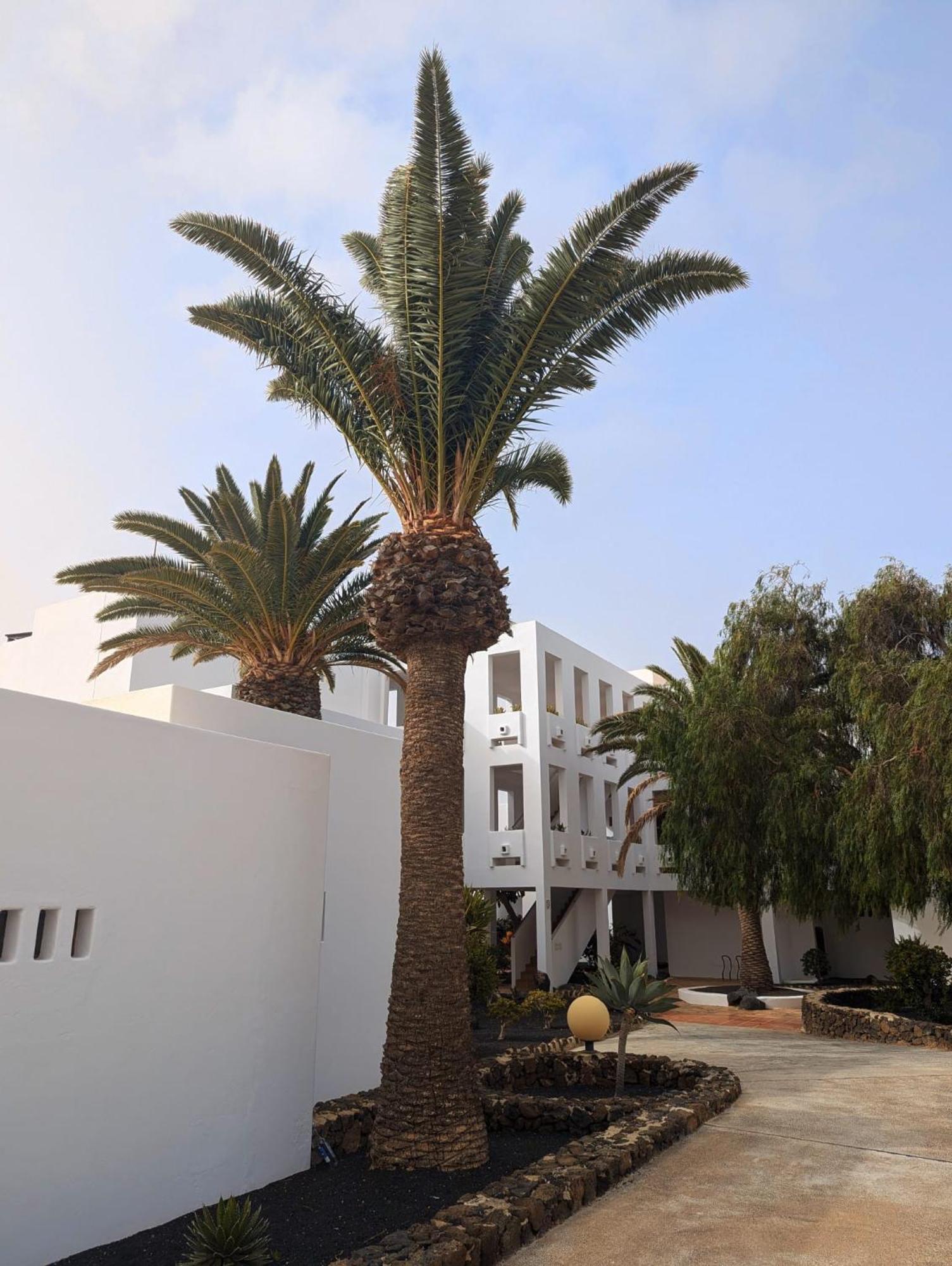 Charming Flat In Los Molinos With Terrace & Pools, Near Playa Bastian กอสตา เตกีสเซ ภายนอก รูปภาพ